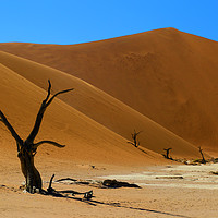 Buy canvas prints of Red Dunes by Mark Seleny