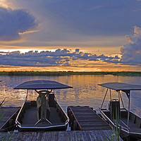 Buy canvas prints of Sunset at the Chobe River by Mark Seleny