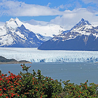 Buy canvas prints of Perito Moreno Glacier  by Mark Seleny
