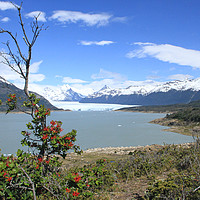 Buy canvas prints of Perito Moreno Glacier and Lake Argentina.  by Mark Seleny