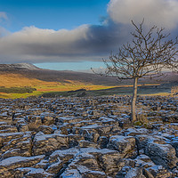 Buy canvas prints of Southerscales in the Yorkshire Dales by Tony Keogh