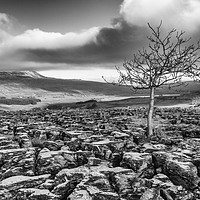 Buy canvas prints of Southerscales in the Yorkshire Dales (mono) by Tony Keogh