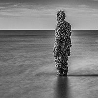 Buy canvas prints of Another Place by Anthony Gormley by Tony Keogh