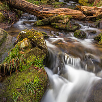 Buy canvas prints of Small Stream Waterfall by Tony Keogh