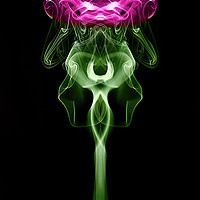 Buy canvas prints of Smoke art Thistle by Donnie Canning