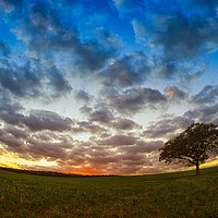 Buy canvas prints of Tree at a fisheye sunset. by Donnie Canning
