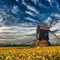 Buy canvas prints of Stevington Windmill surrounded by Rapeseed at sunr by Donnie Canning