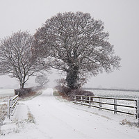 Buy canvas prints of Cook's Lane in Winter by Kevin Hussey