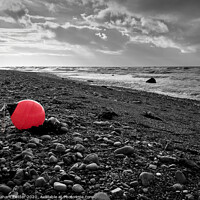 Buy canvas prints of Buoy on a Beach by Graham Fielder