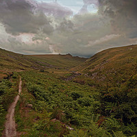 Buy canvas prints of Majestic Tavy Cleave by Graham Nathan