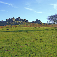 Buy canvas prints of Looking up at Hound Tor by Graham Nathan