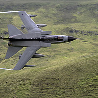 Buy canvas prints of RAF Tornado GR4  by Chris Mills