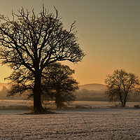 Buy canvas prints of Frosty Sunrise by Chris Mills