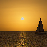 Buy canvas prints of Sailing at Sunset by Ashley Wootton