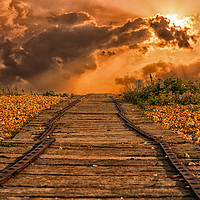 Buy canvas prints of The Path To Where? by Scott Stevens