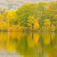 Buy canvas prints of Autumn Trees at Rydal Water by Jill Bramley