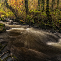 Buy canvas prints of Luxulyan Valley by Barry Smith