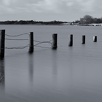 Buy canvas prints of Posts in the lake by Barry Smith