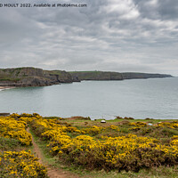 Buy canvas prints of Fall bay on Gower South Wales by RICHARD MOULT