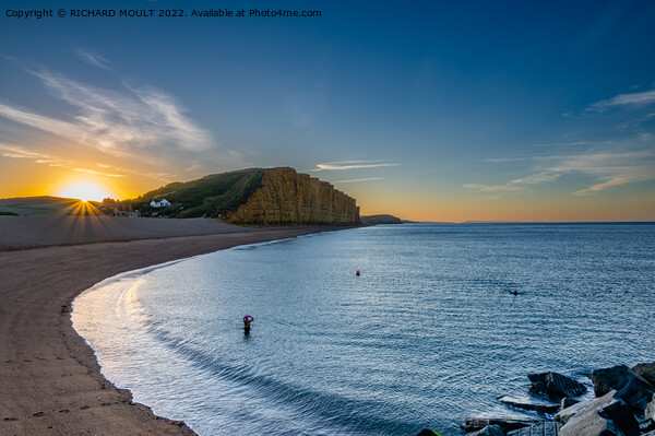Early Morning Swim At West Bay In Dorset Picture Board by RICHARD MOULT