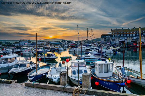 West Bay Harbour At Sunrise Picture Board by RICHARD MOULT