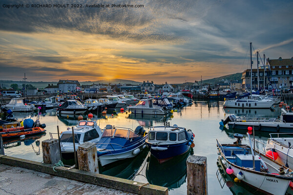 West Bay Harbour Dorset Picture Board by RICHARD MOULT