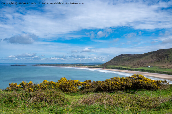 Rhossili bay and Llangennith beach on Gower Picture Board by RICHARD MOULT