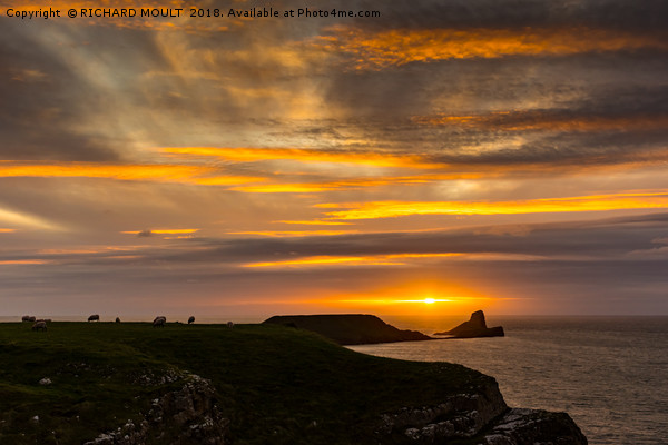 Worms Head Gower At Sunset Picture Board by RICHARD MOULT