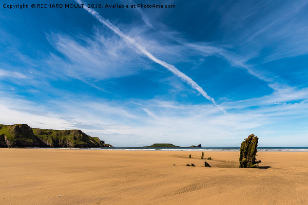 The wreck of the Helvetia at Rhosilli Gower Picture Board by RICHARD MOULT