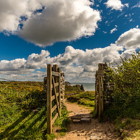 Buy canvas prints of Gower Gateway by RICHARD MOULT