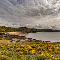 Buy canvas prints of Fall Bay Gower by RICHARD MOULT