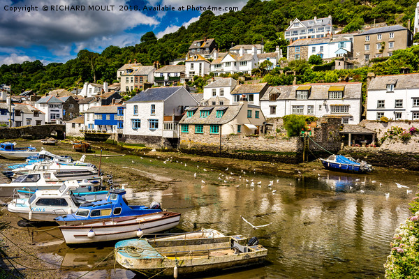 Polperro Harbour Picture Board by RICHARD MOULT