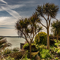 Buy canvas prints of Tropical Tenby by RICHARD MOULT