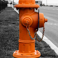 Buy canvas prints of Orange Fire Hydrant by Roger Utting