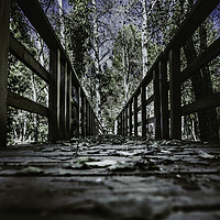 Buy canvas prints of Footbridge leading to the forest by Juan Ramón Ramos Rivero