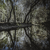 Buy canvas prints of Reflections in the river by Juan Ramón Ramos Rivero