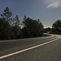 Buy canvas prints of Road between pines by Juan Ramón Ramos Rivero