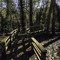 Buy canvas prints of Wooden bridge in the forest by Juan Ramón Ramos Rivero