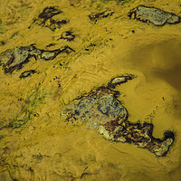 Buy canvas prints of Yellow waters with colored stones by Juan Ramón Ramos Rivero