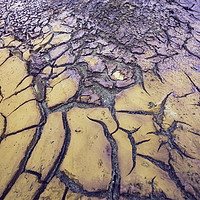 Buy canvas prints of Dry and cracked ground texture of yellow and purpl by Juan Ramón Ramos Rivero