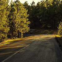 Buy canvas prints of Mountain road between pines at sunset by Juan Ramón Ramos Rivero