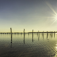 Buy canvas prints of Wooden post and wire fence on a lake by Juan Ramón Ramos Rivero