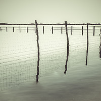 Buy canvas prints of Wooden post and wire fence on a lake in black and  by Juan Ramón Ramos Rivero