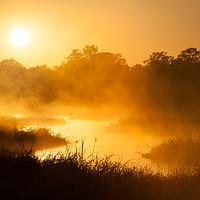 Buy canvas prints of Okavango sunrise by Villiers Steyn