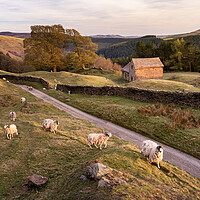 Buy canvas prints of Springtime in the Peak District by David Semmens