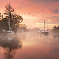 Buy canvas prints of Sunrise on the River Frome by David Semmens