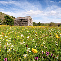 Buy canvas prints of Summer Meadows by David Semmens
