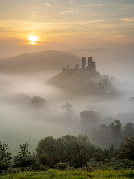 Misty Sunrise at Corfe Castle Picture Board by David Semmens