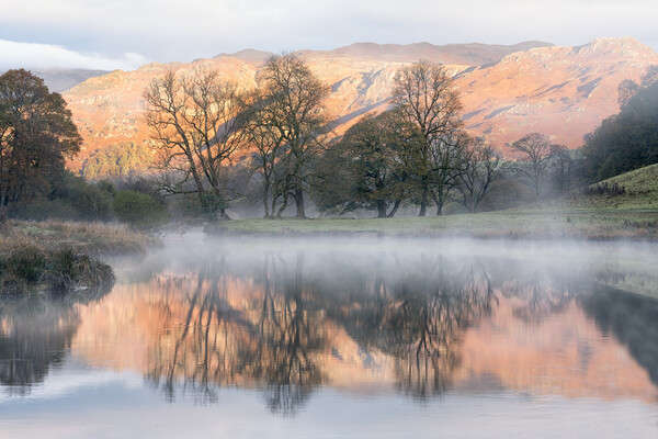 Sunrise on the River Brathay Picture Board by David Semmens