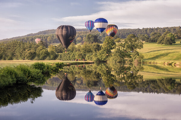 Summer Balloons Picture Board by David Semmens